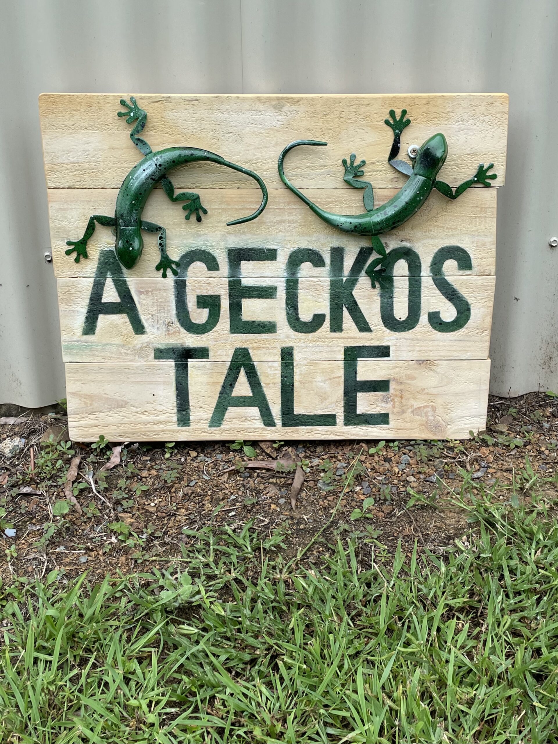 A Geckos tale Bush Camping